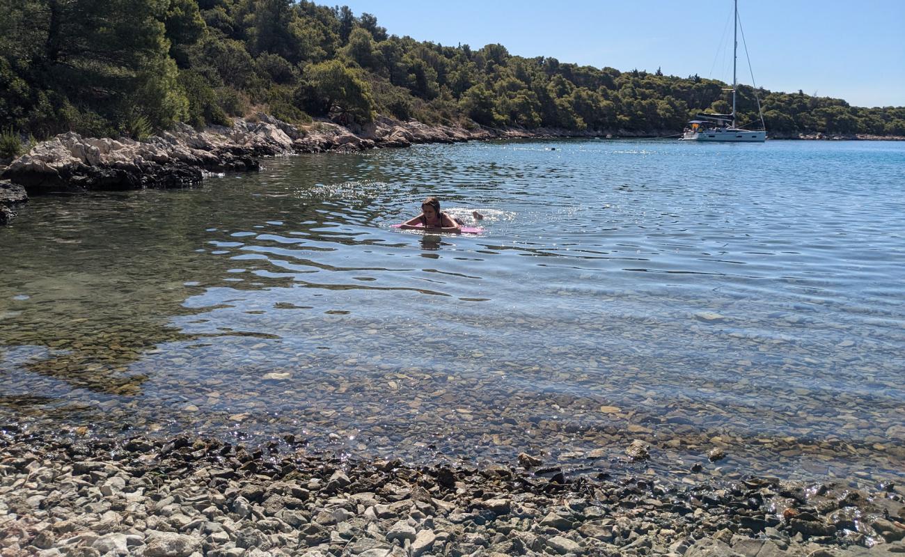 Blue Bay, Rogoznica'in fotoğrafı taşlar yüzey ile