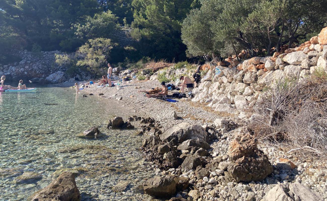 Drasnice East area FKK'in fotoğrafı taşlar yüzey ile