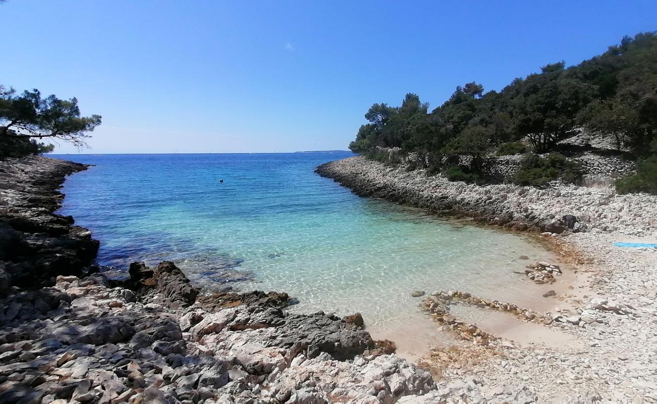 Cuanguski Zaljev'in fotoğrafı taşlar yüzey ile