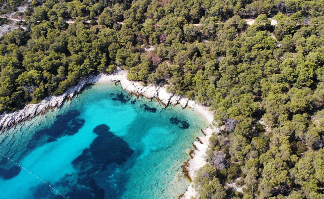 Uvala Drazevica'in fotoğrafı taşlar yüzey ile