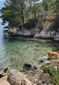 Šolta Adası
