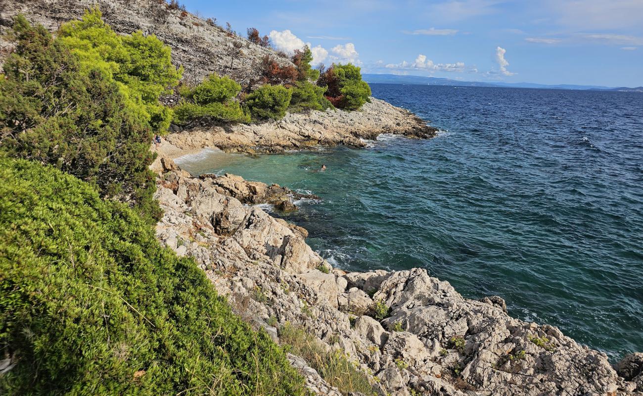 Mala Draga Beach'in fotoğrafı hafif çakıl yüzey ile