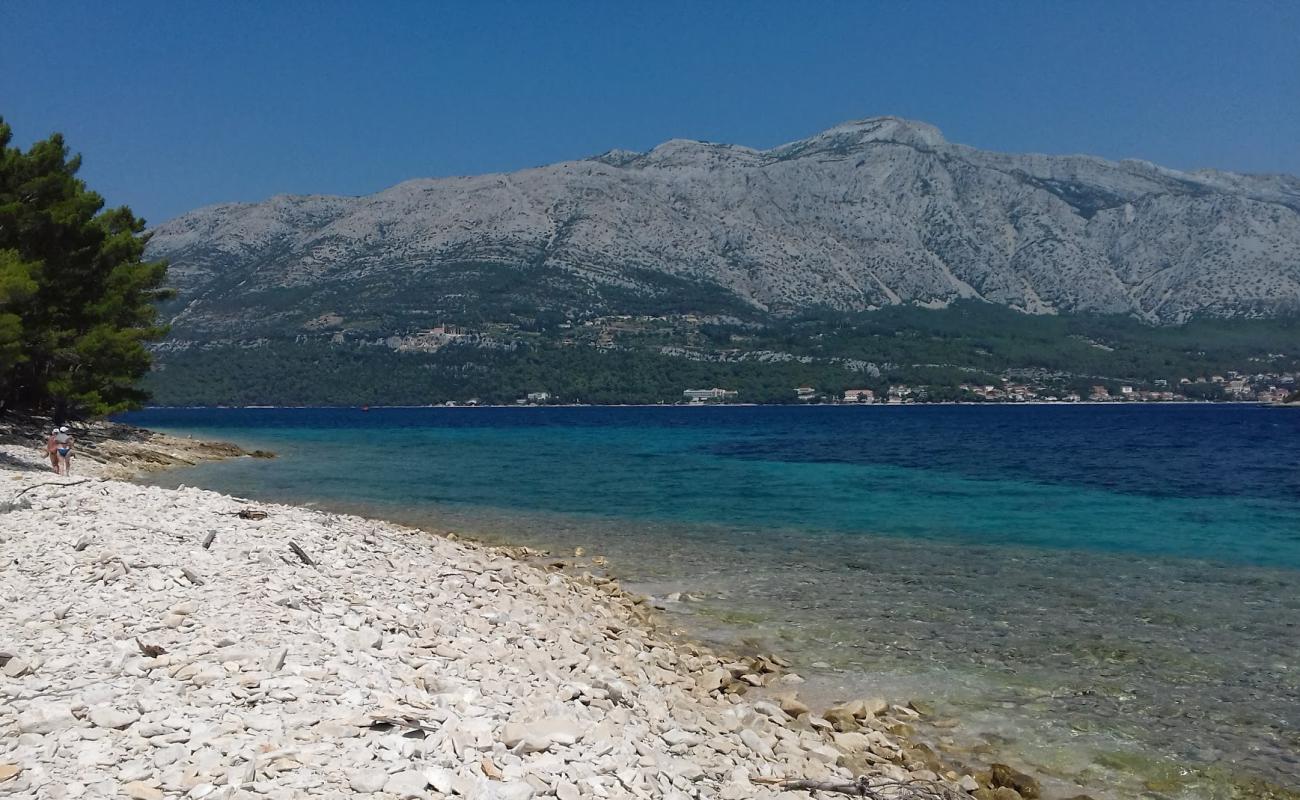 Badija Pebble Beach'in fotoğrafı taşlar yüzey ile