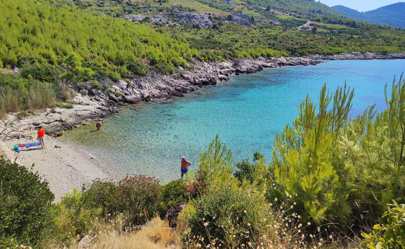 Plaza Skamp'in fotoğrafı hafif ince çakıl taş yüzey ile