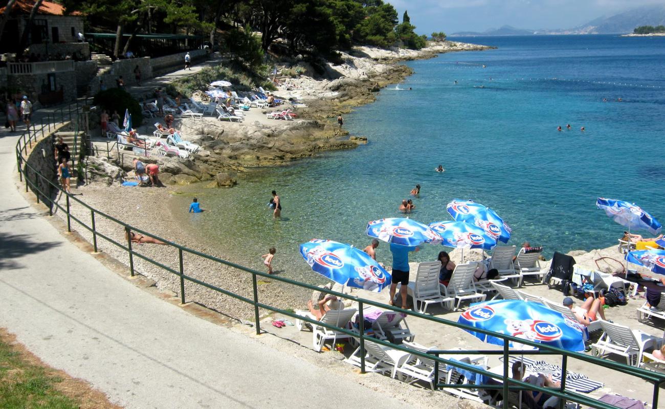 Beach Rat'in fotoğrafı gri ince çakıl taş yüzey ile