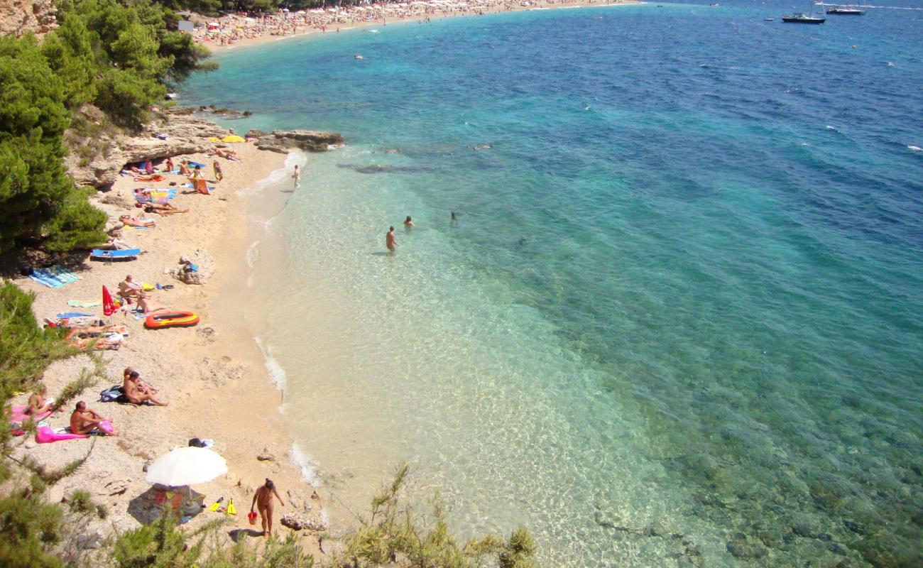 Paklina FKK Beach'in fotoğrafı çakıl ile kum yüzey ile