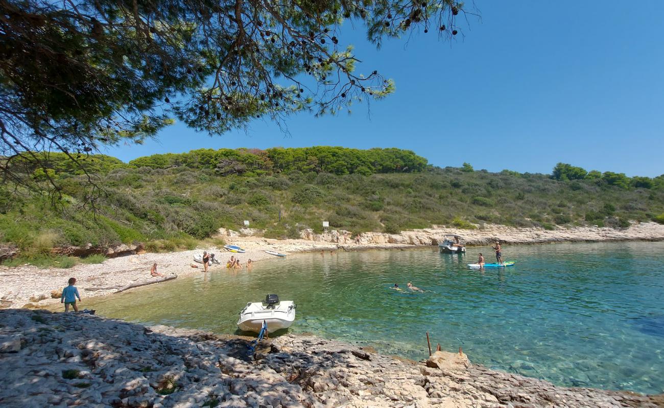 Tarsce Bay'in fotoğrafı hafif çakıl yüzey ile