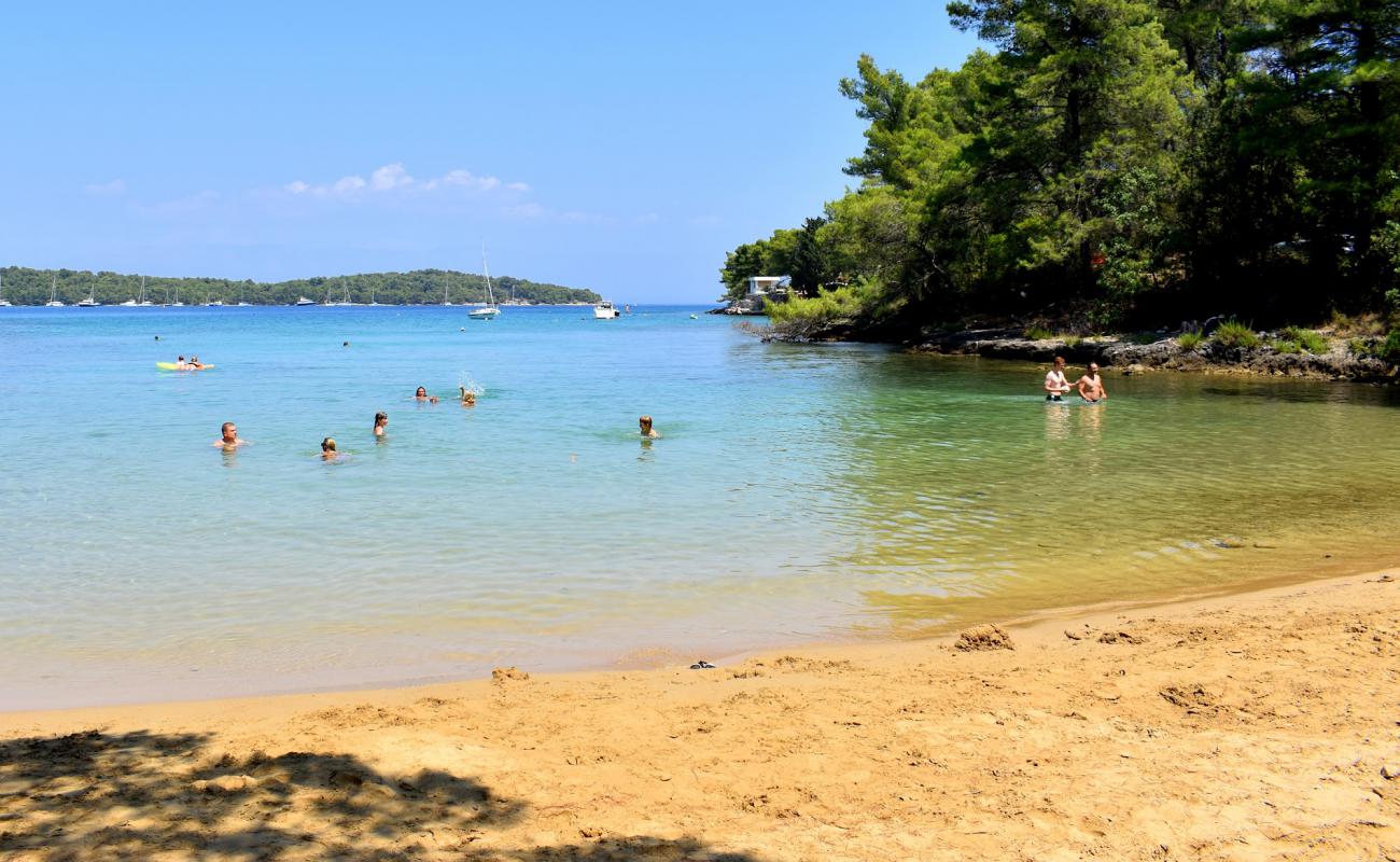 Sandy Beach, Vitarnja'in fotoğrafı parlak kum yüzey ile