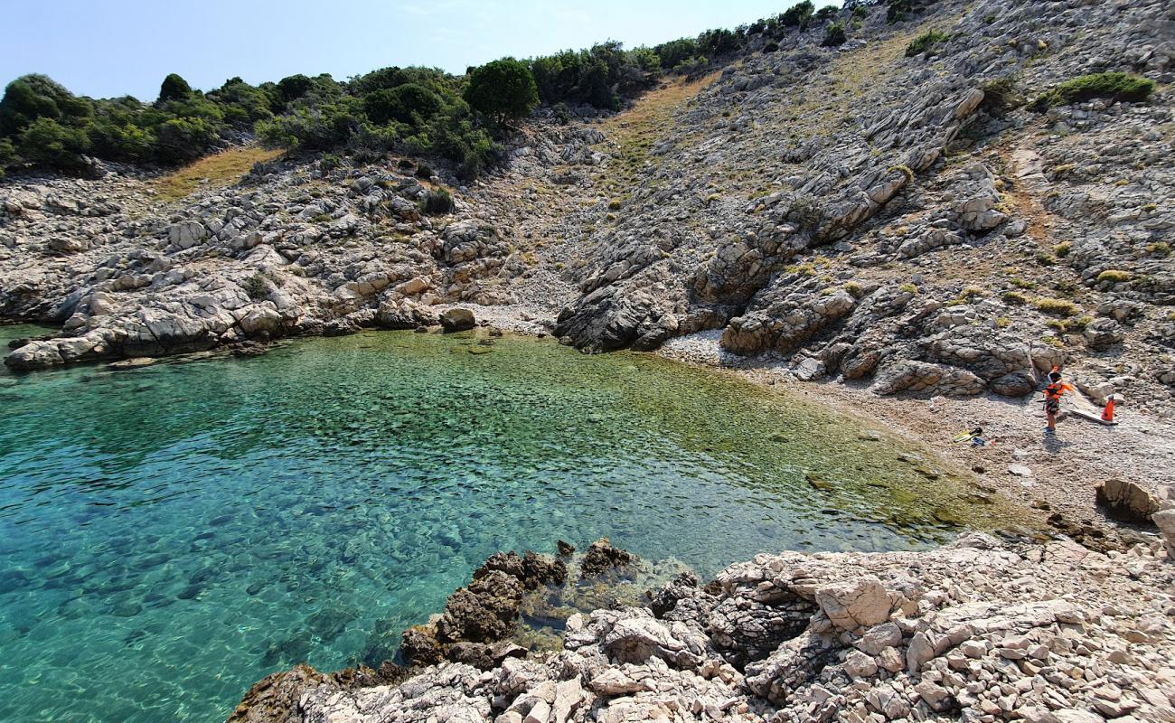 Vela Draga Beach'in fotoğrafı hafif çakıl yüzey ile