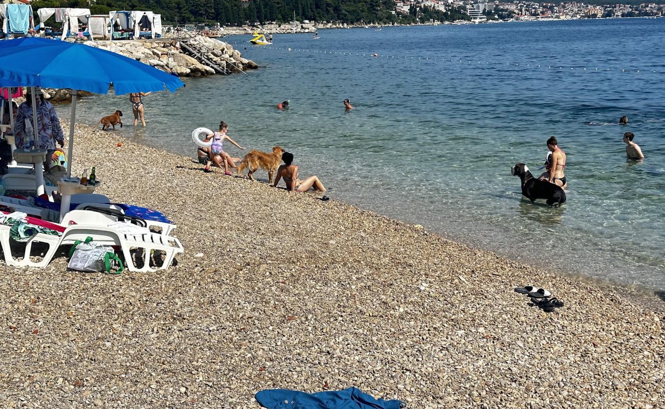 Monty's Dog Beach'in fotoğrafı gri ince çakıl taş yüzey ile