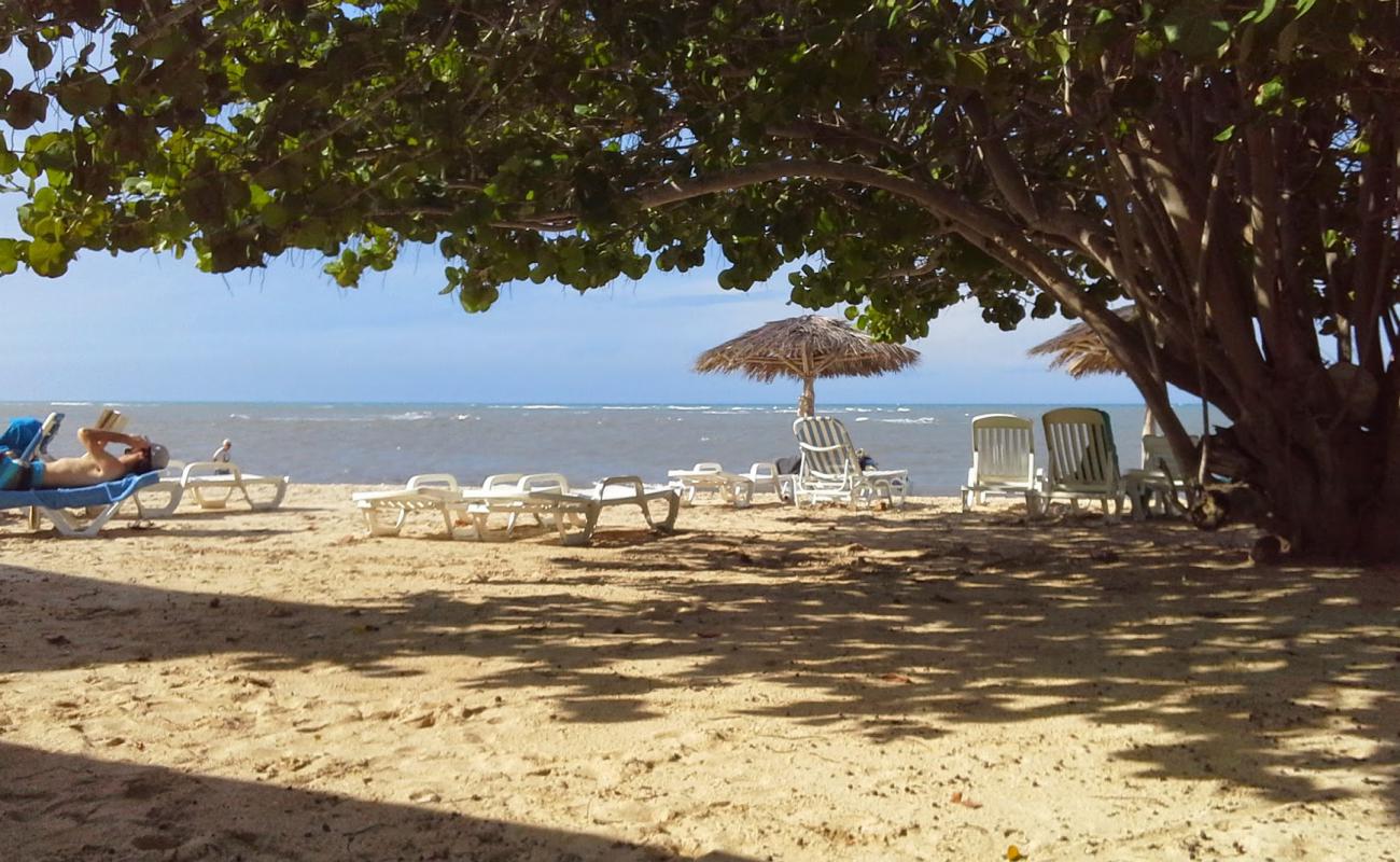 Jibacoa resort'in fotoğrafı i̇nce bej kum yüzey ile