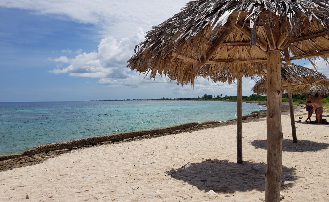 Coral beach'in fotoğrafı parlak kum ve kayalar yüzey ile