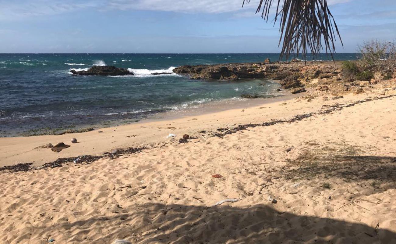 Camarioca beach'in fotoğrafı parlak kum ve kayalar yüzey ile