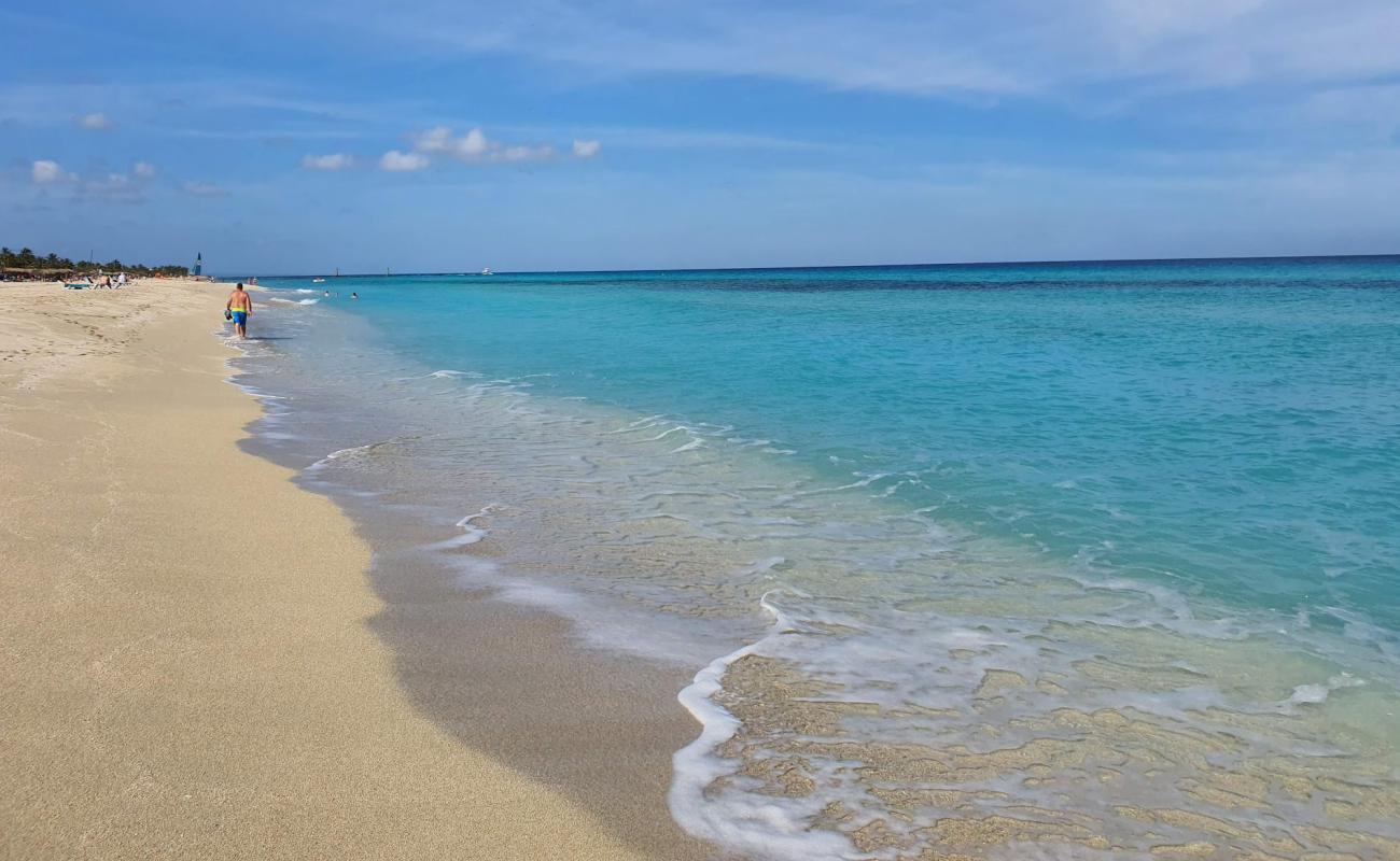 Varadero beach V'in fotoğrafı parlak ince kum yüzey ile