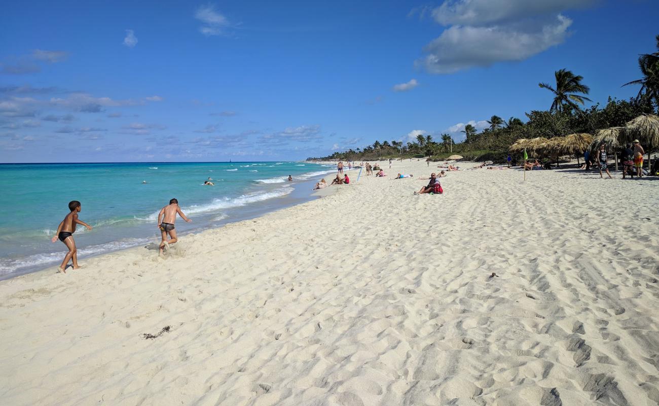 Varadero beach III'in fotoğrafı parlak ince kum yüzey ile