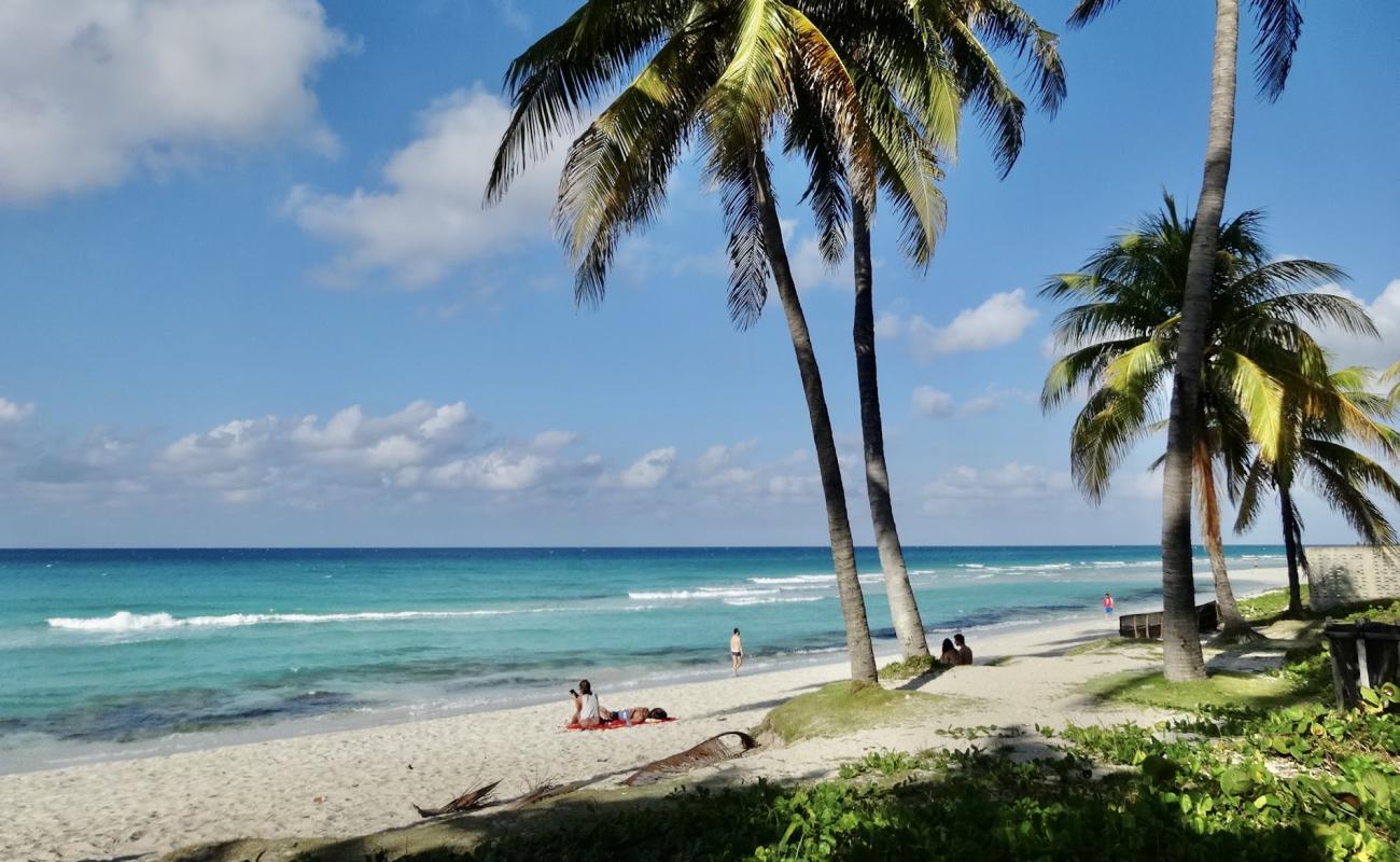 Varadero Plajı II'in fotoğrafı parlak ince kum yüzey ile