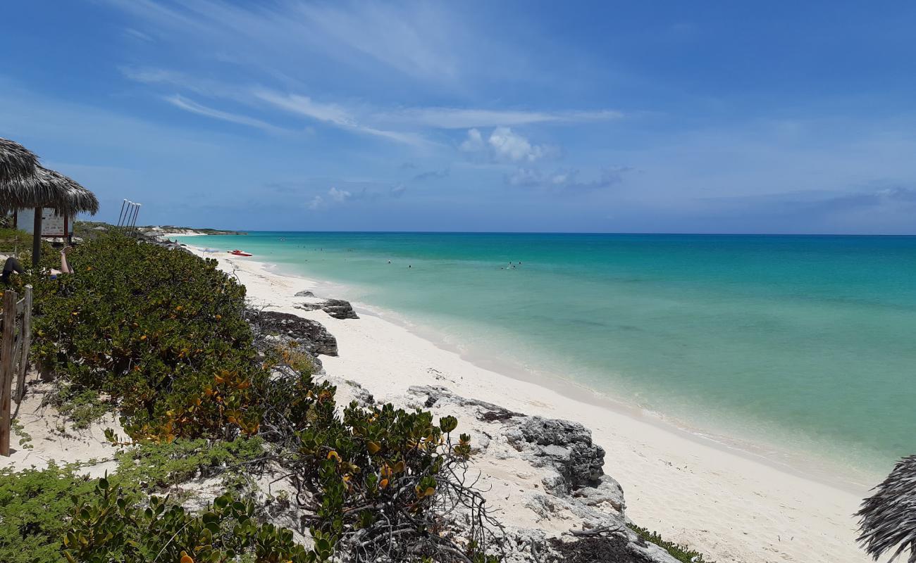 Cayo Santa Maria V Plajı'in fotoğrafı parlak ince kum yüzey ile