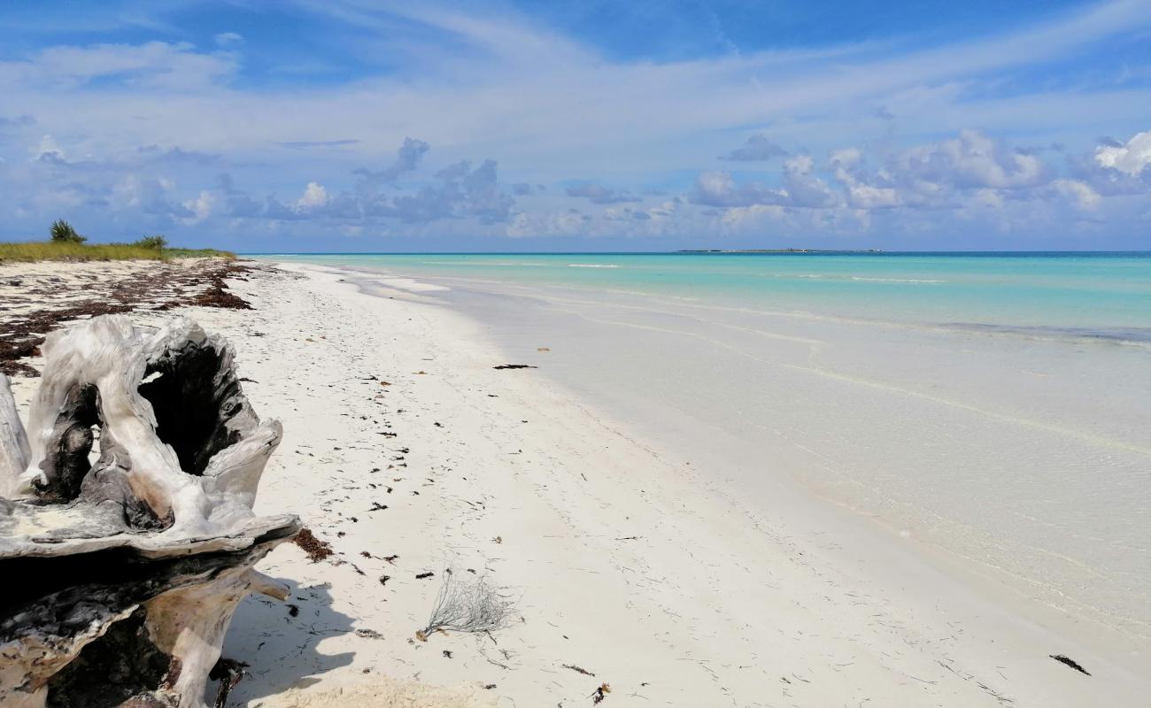 Playa Las Gaviotas'in fotoğrafı beyaz ince kum yüzey ile