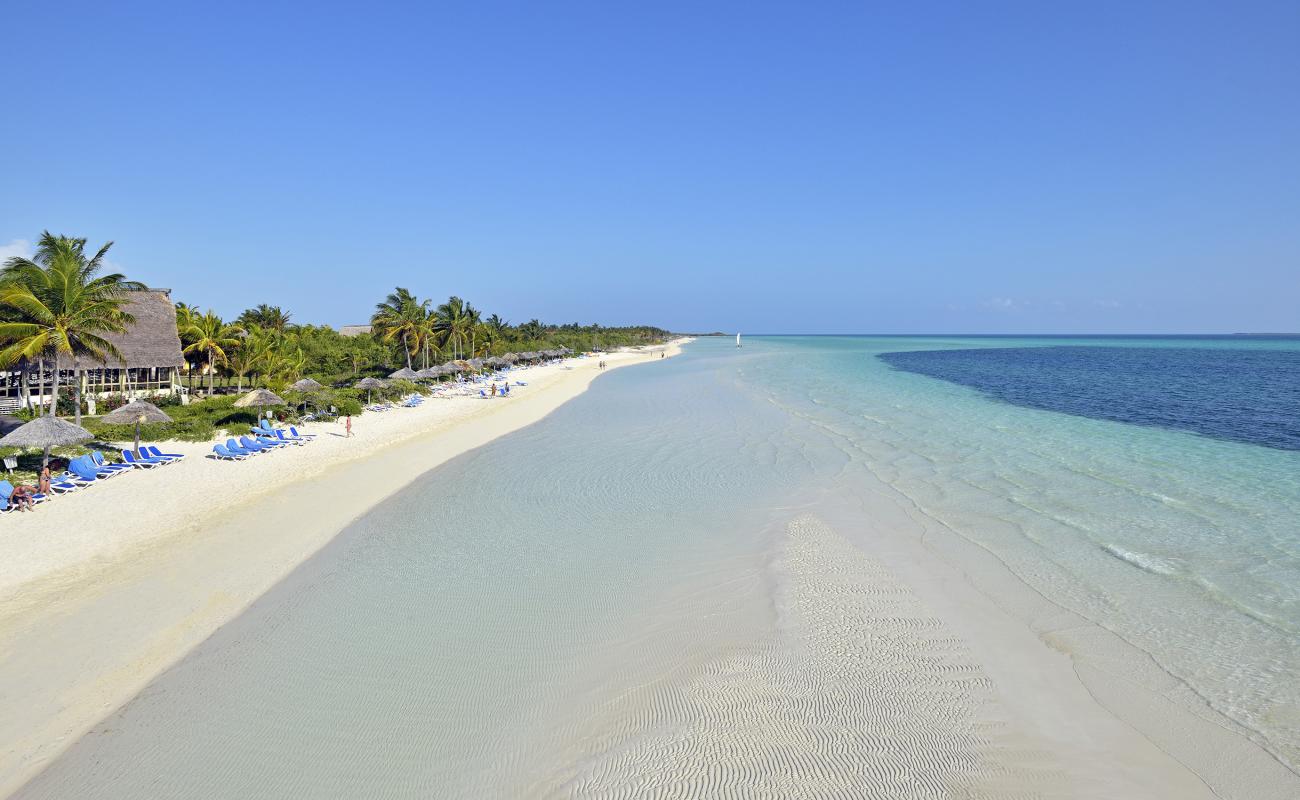 Cayo Guillermo'in fotoğrafı parlak ince kum yüzey ile