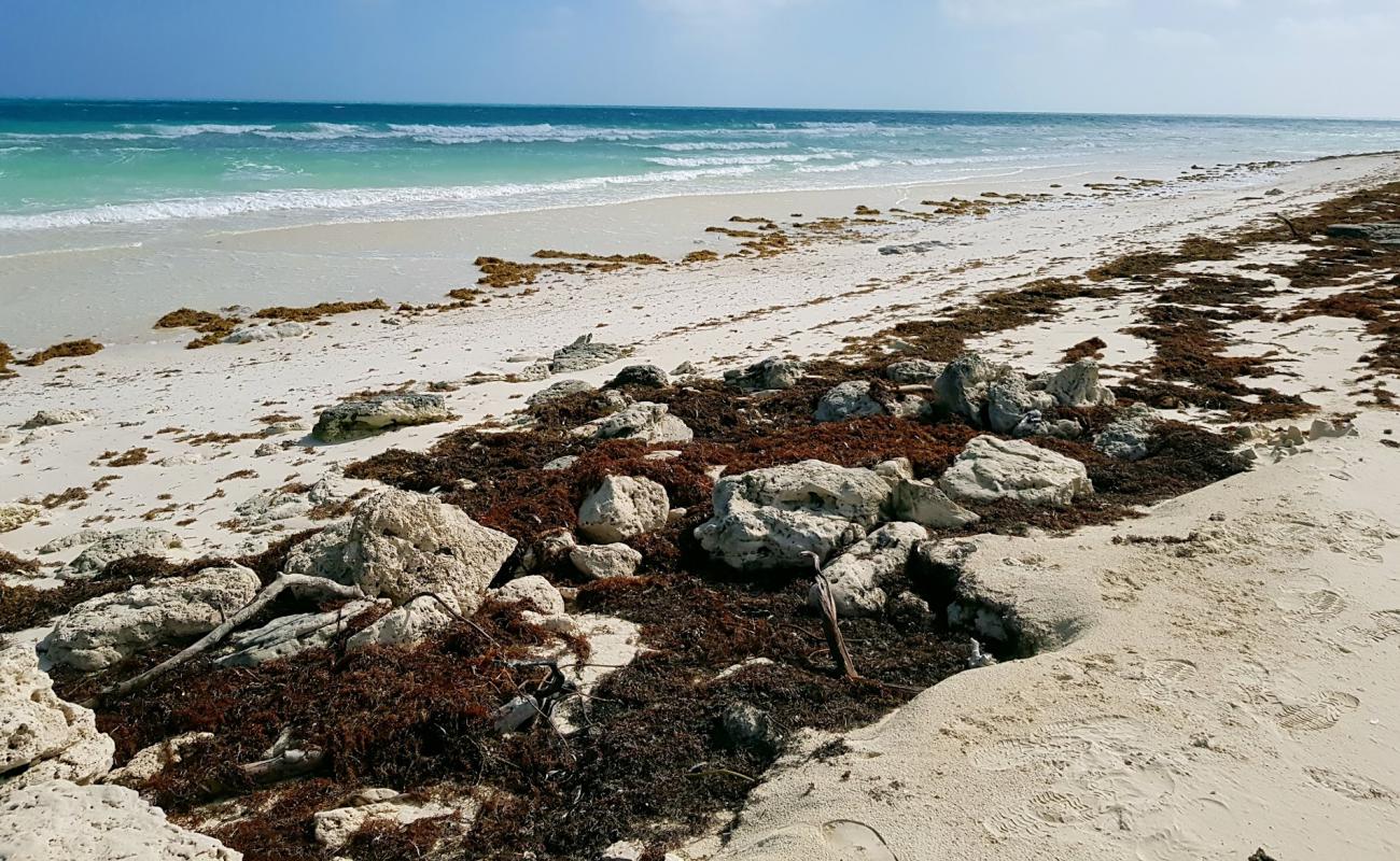 Playa Del Norte'in fotoğrafı beyaz kum yüzey ile