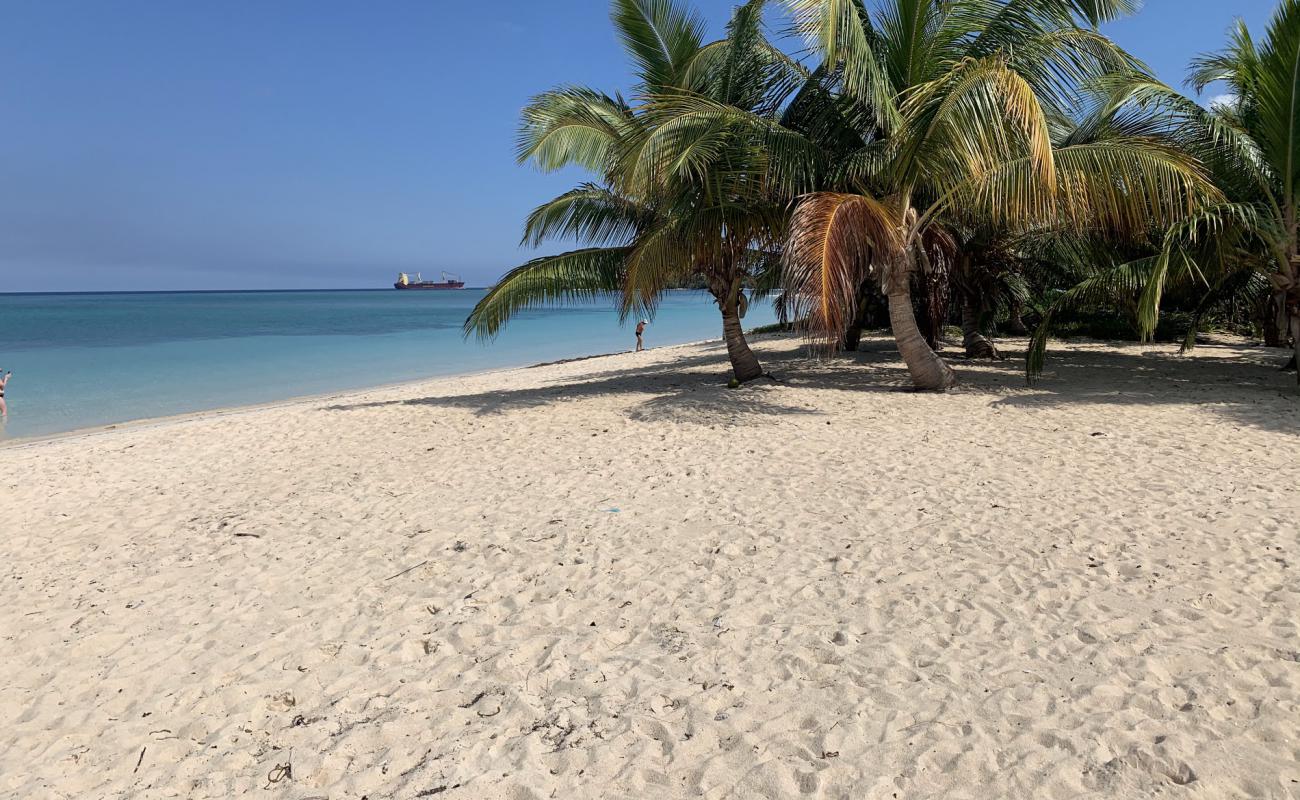 Playa Santa Lucia'in fotoğrafı parlak kum yüzey ile