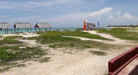 Playa Punta De Ganado