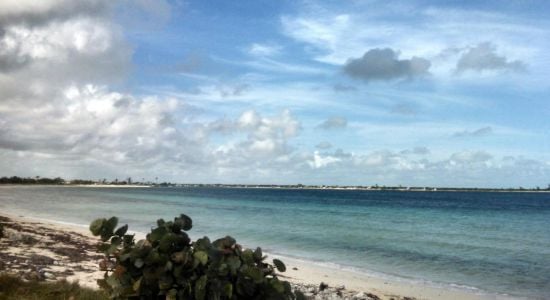 La Llanita beach