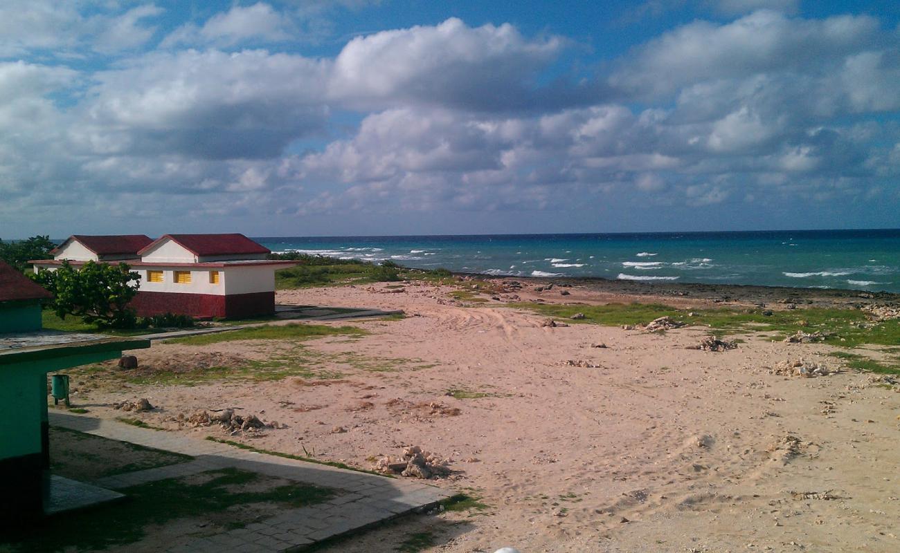 Playa Corella'in fotoğrafı parlak kum yüzey ile