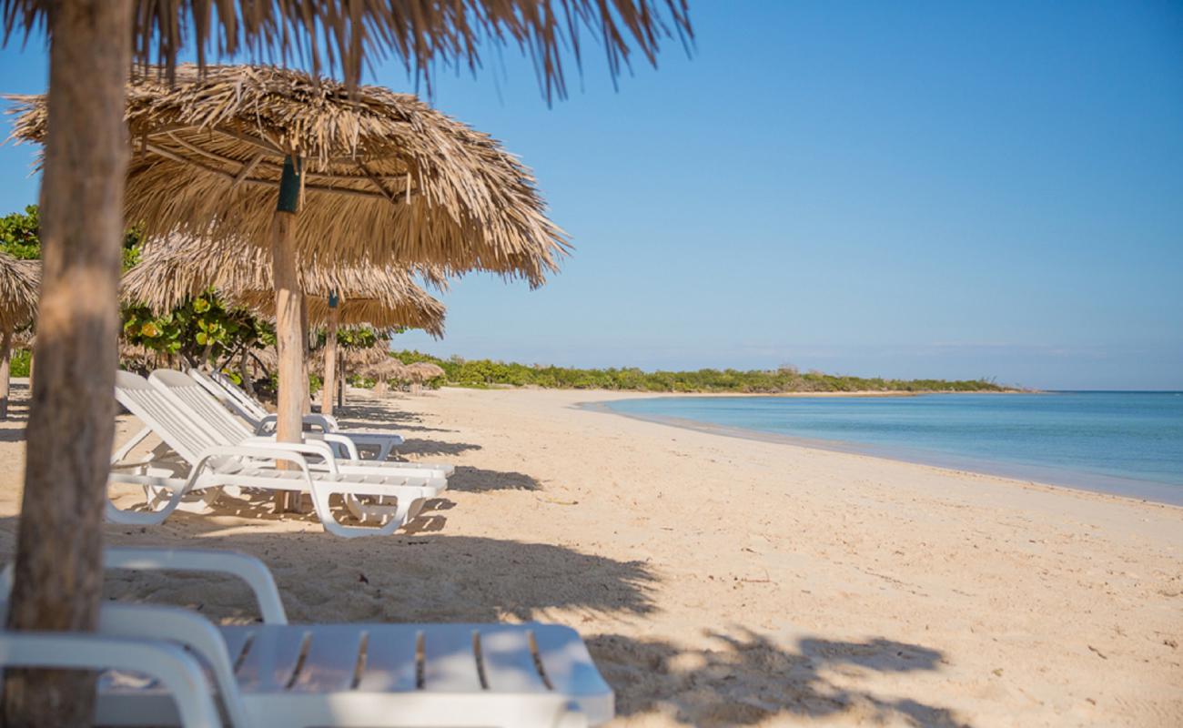 Playa Yuraguanal'in fotoğrafı açık bej kum yüzey ile