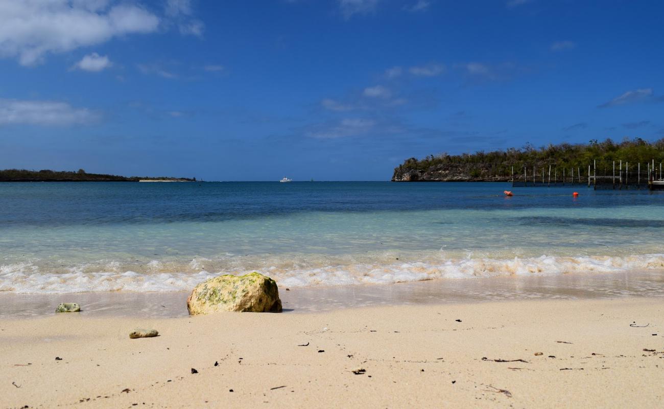 Playa La Guanas'in fotoğrafı bej kum ve çakıl yüzey ile