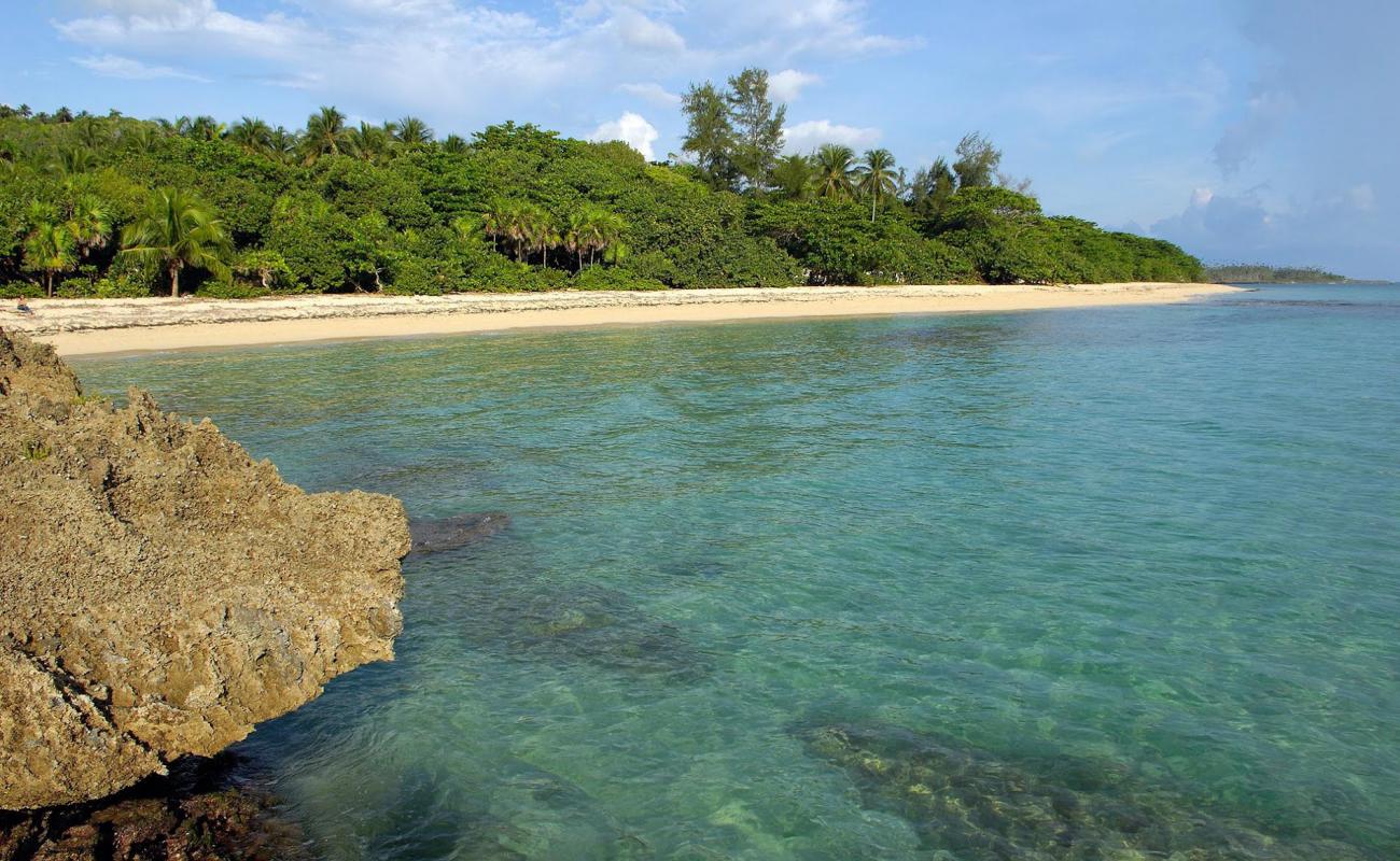 Playa Maguana'in fotoğrafı parlak ince kum yüzey ile