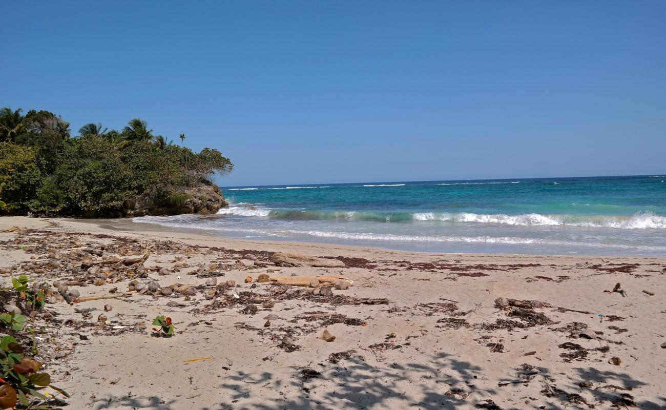 Playa Maguana II'in fotoğrafı açık bej kum yüzey ile