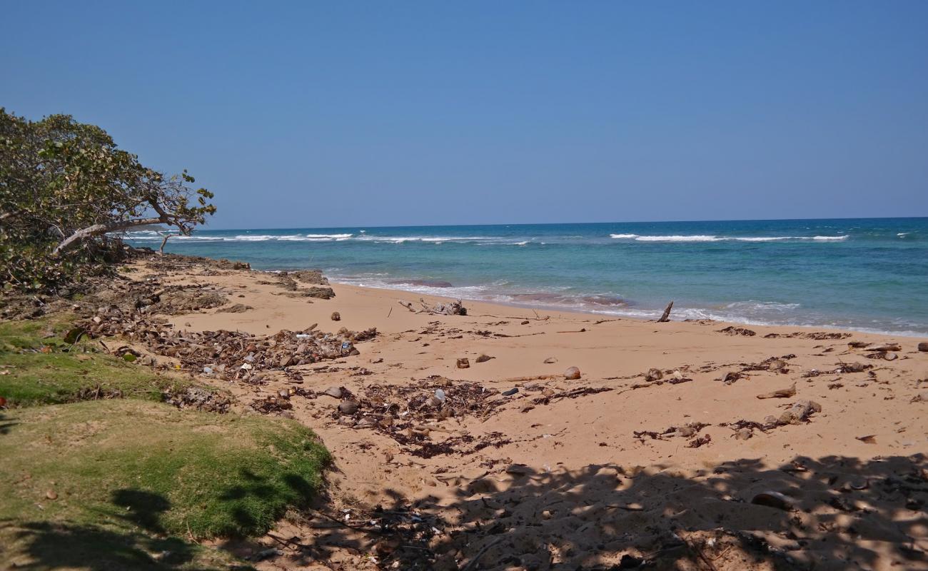 Playa Cajuajo'in fotoğrafı açık bej kum yüzey ile