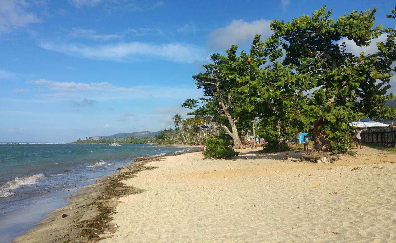 Playa Barigua'in fotoğrafı açık bej kum yüzey ile
