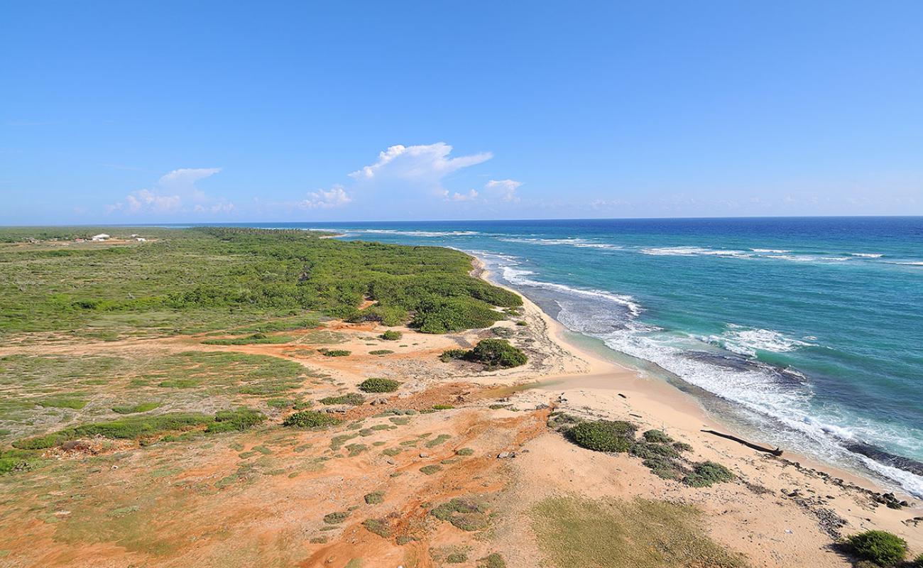 Playa Punta de Maisi'in fotoğrafı parlak kum yüzey ile