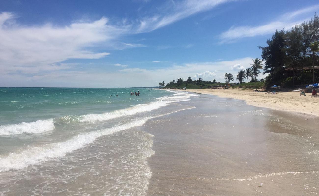 Playa del Este'in fotoğrafı parlak kum yüzey ile