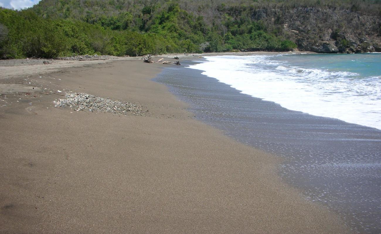 Playa Toro'in fotoğrafı açık bej kum yüzey ile