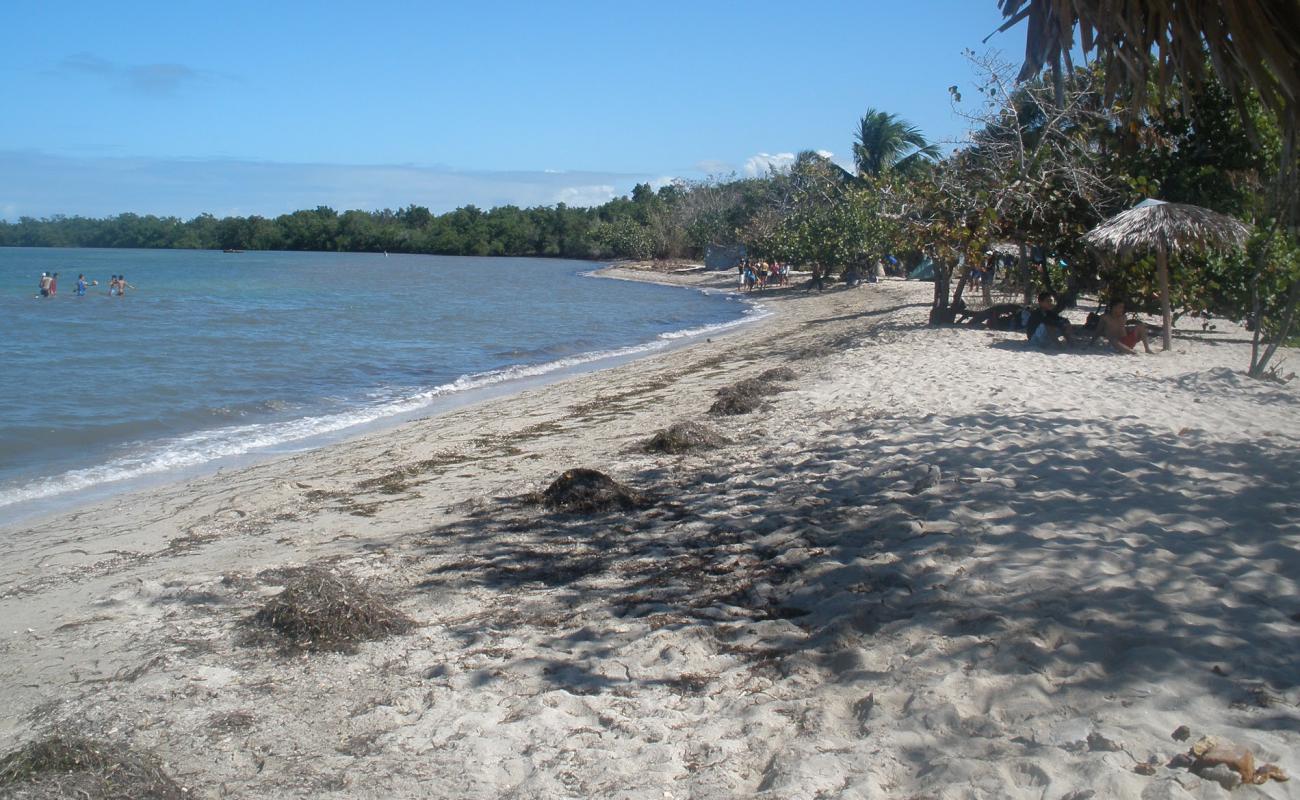 Playa de Media Luna'in fotoğrafı açık bej kum yüzey ile