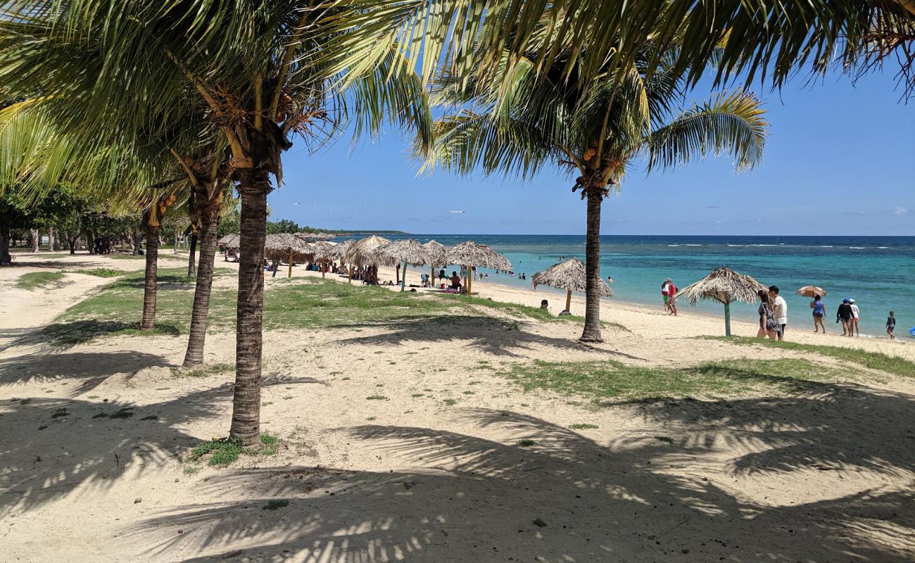 Playa Rancho Luna'in fotoğrafı parlak kum yüzey ile