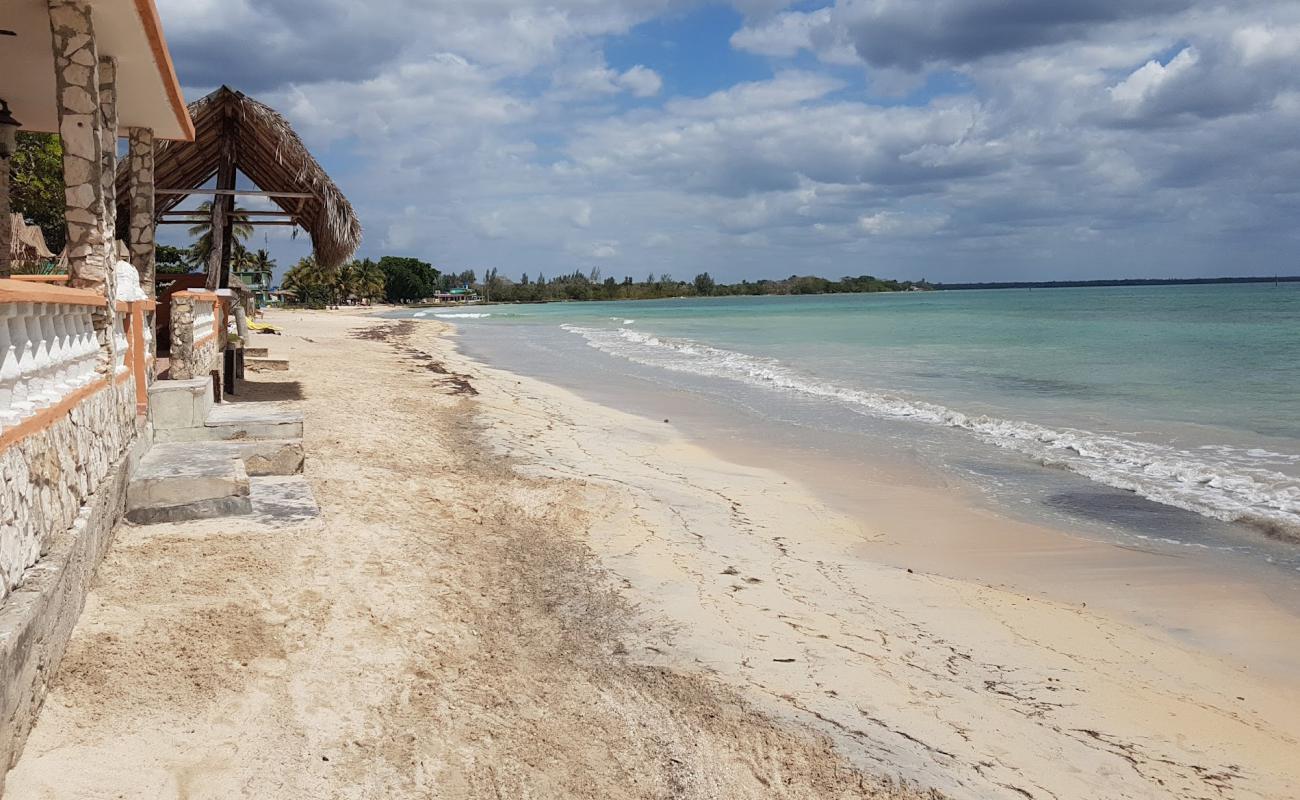 Playa de Larga'in fotoğrafı açık bej kum yüzey ile