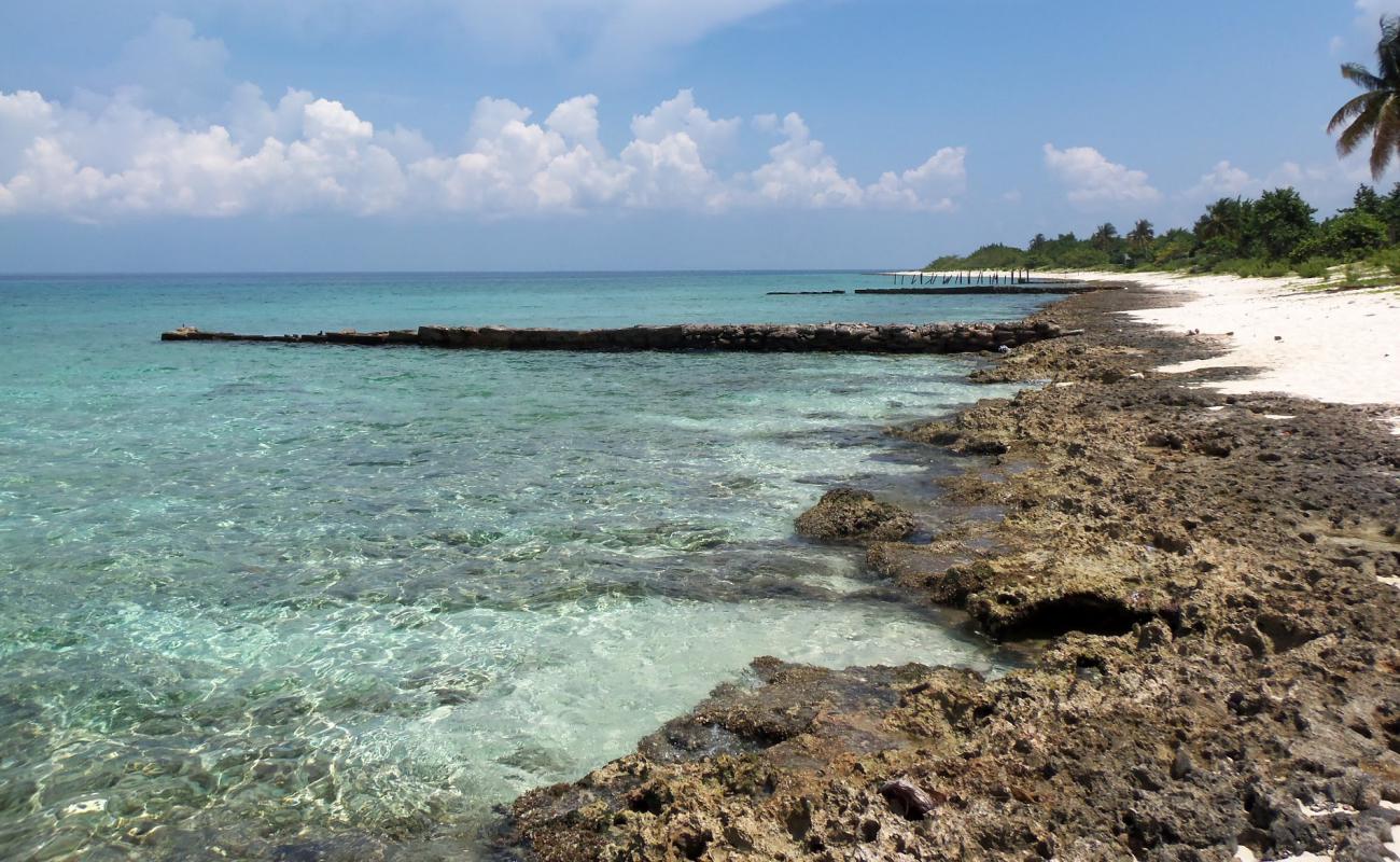 Playa Maria La Gorda'in fotoğrafı bej kum ve kayalar yüzey ile