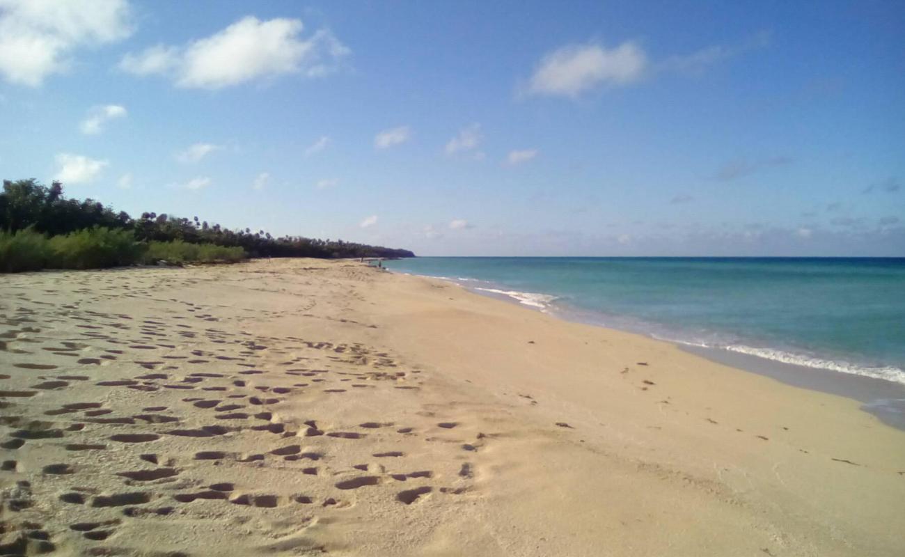 Playa del Mar'in fotoğrafı açık bej kum yüzey ile