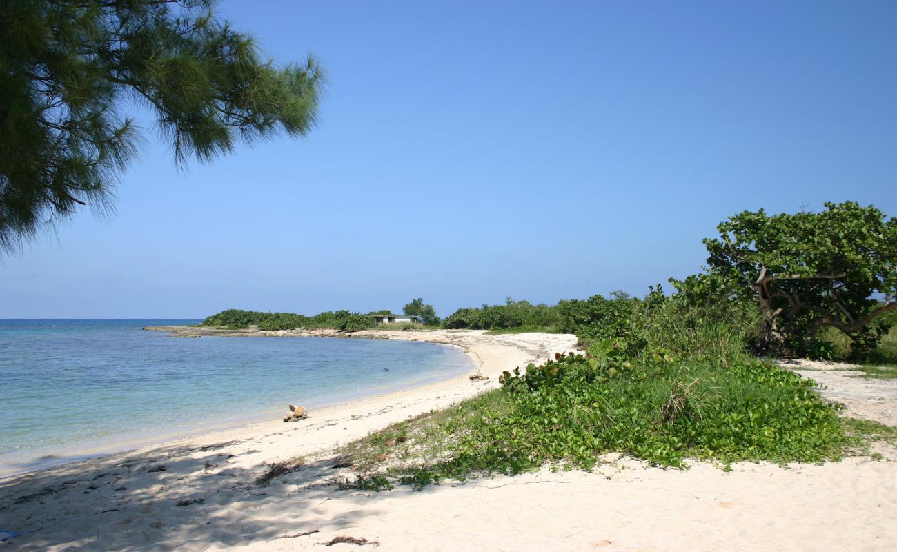 Playa La Herradura'in fotoğrafı parlak kum yüzey ile