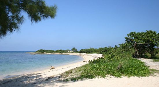 Playa La Herradura