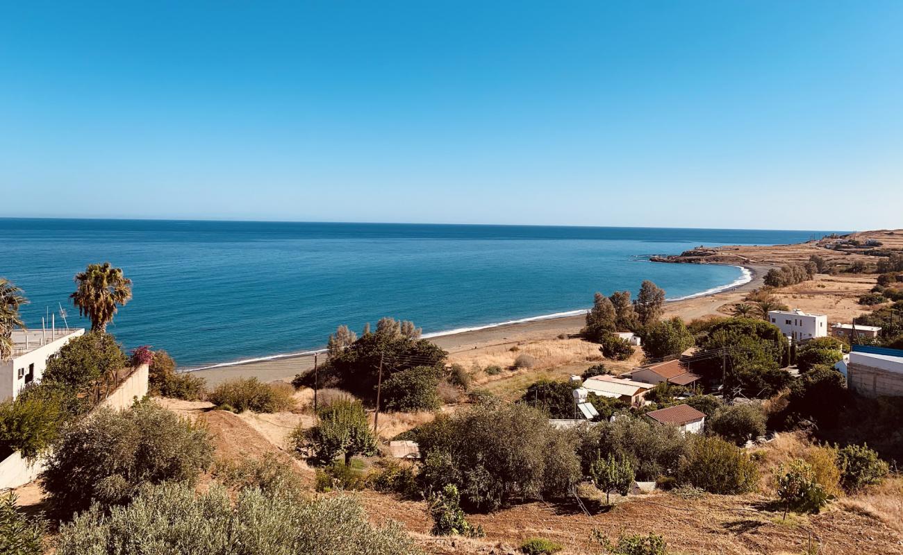 Pachiammos beach'in fotoğrafı gri kum yüzey ile