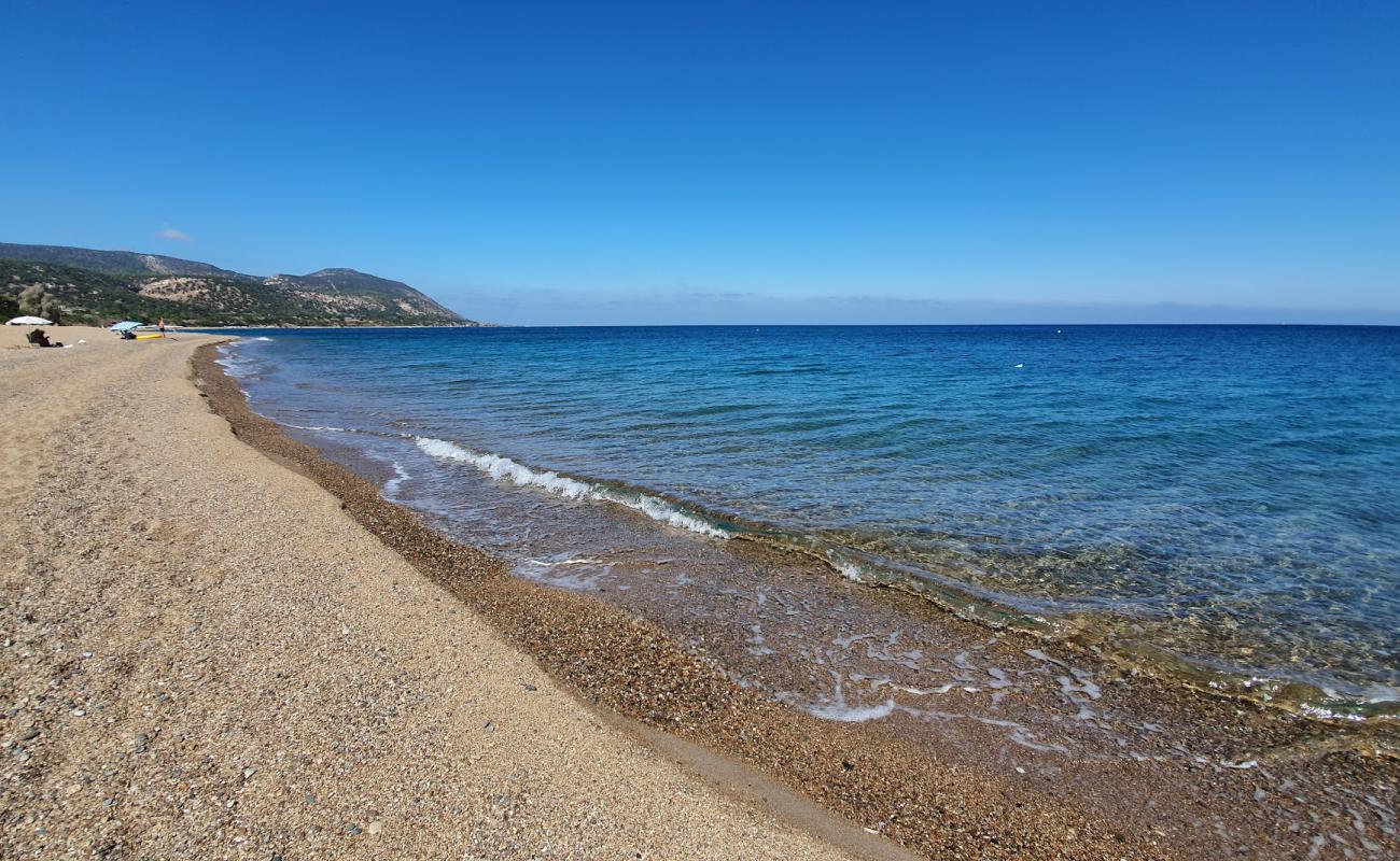 Anassa beach'in fotoğrafı küçük bej çakıl yüzey ile