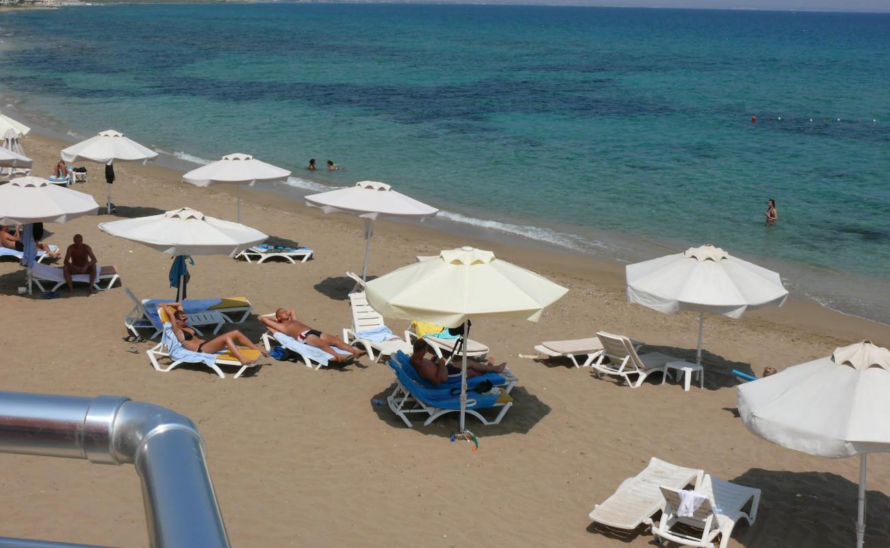 Venus beach'in fotoğrafı i̇nce bej kum yüzey ile