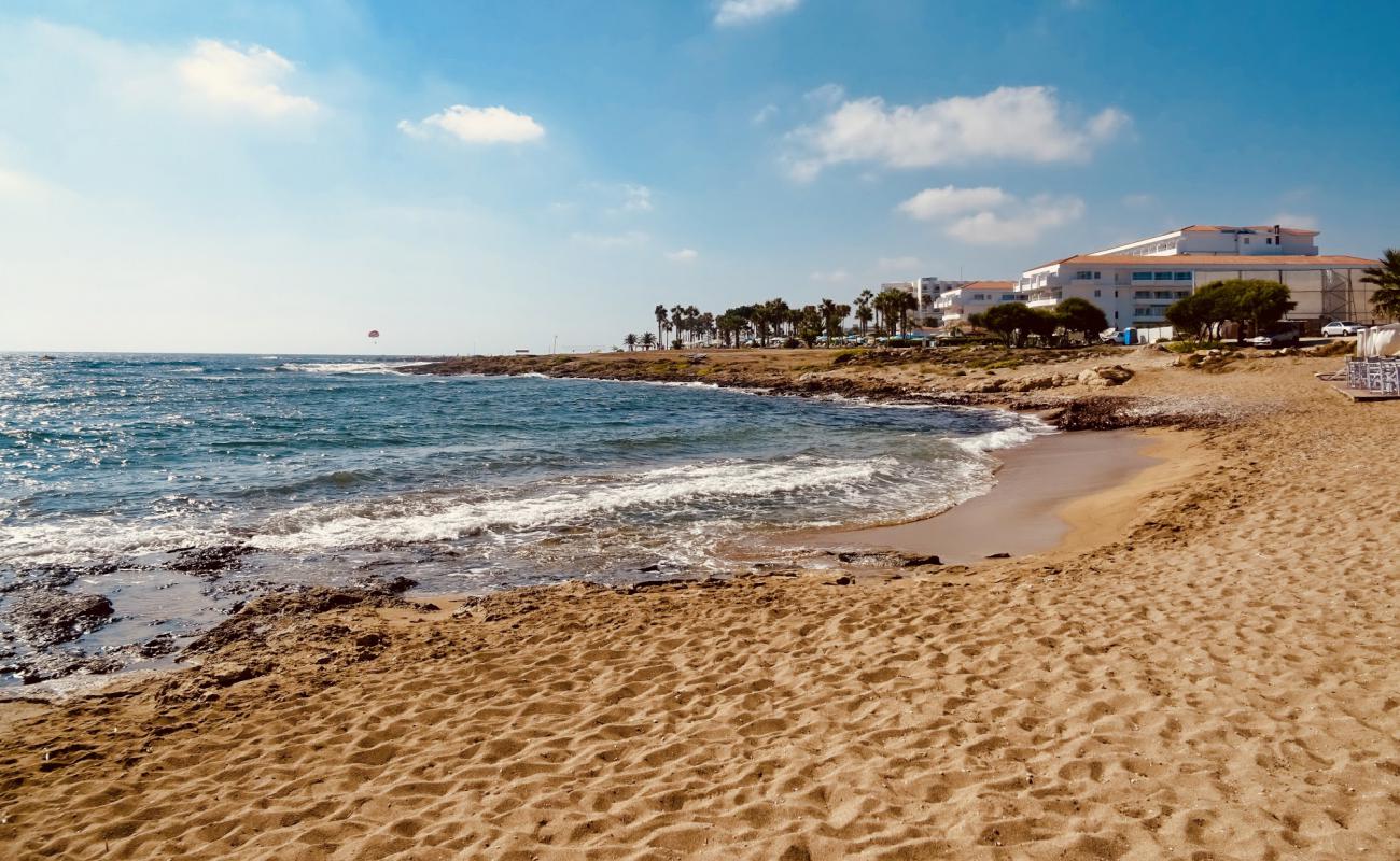 Pachyammos beach'in fotoğrafı parlak kum yüzey ile