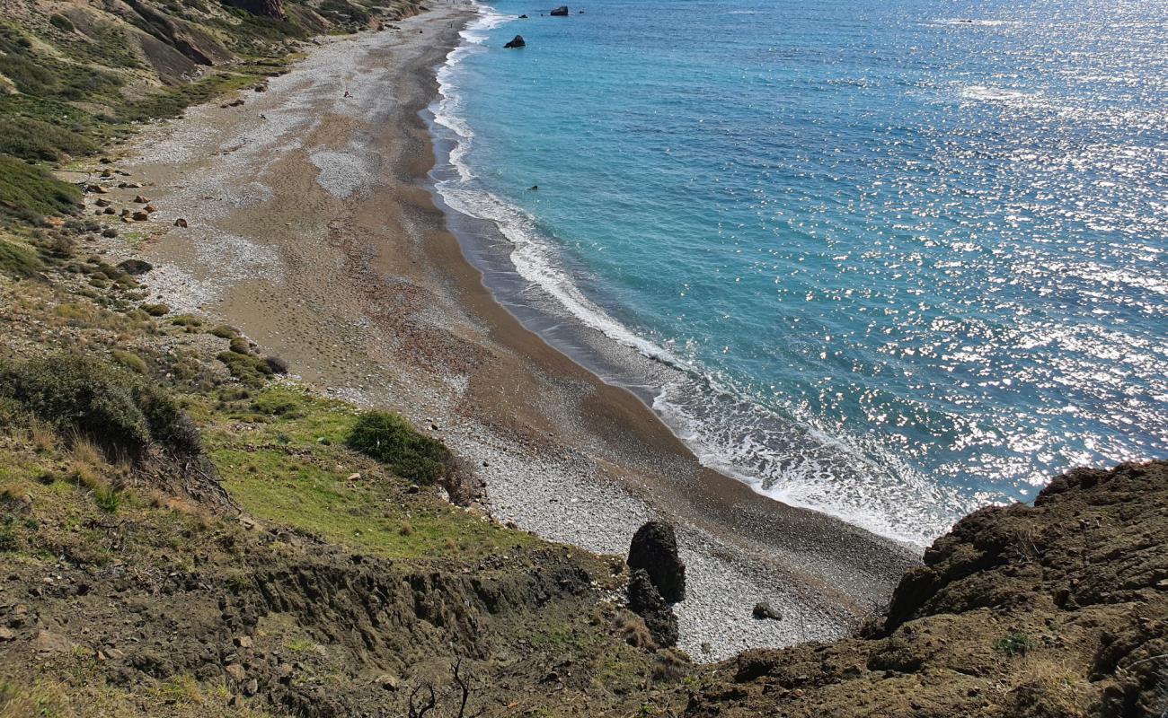 Aphrodite's rock beach'in fotoğrafı gri çakıl taşı yüzey ile