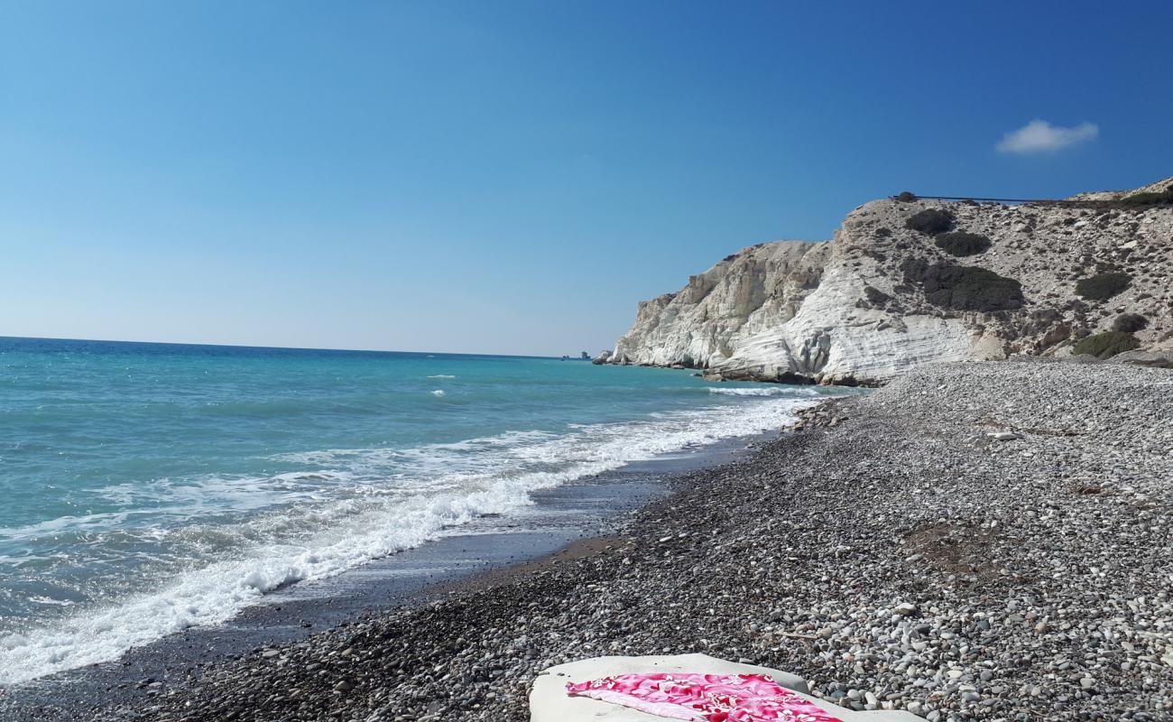 Wild dog's beach'in fotoğrafı bej çakıl yüzey ile